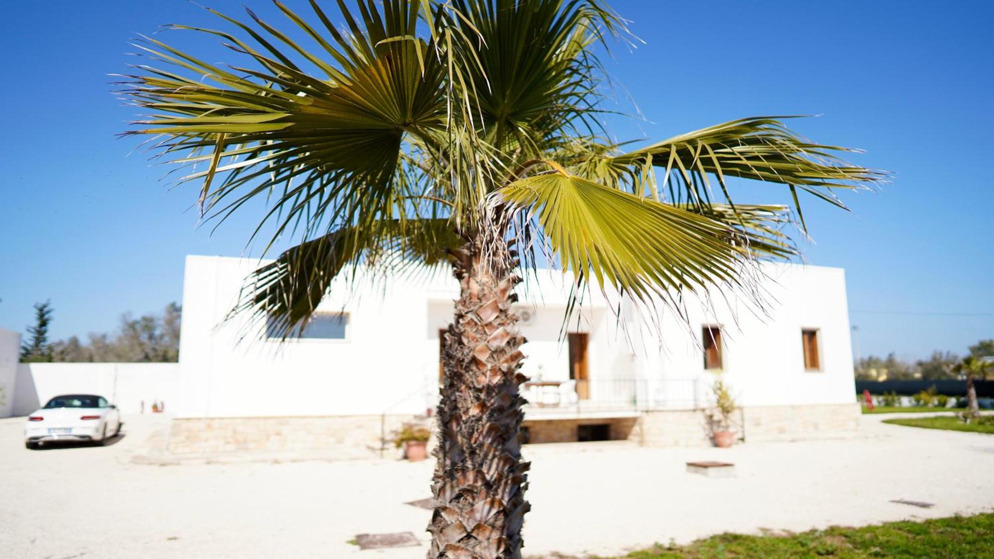 Villa Mia San Ligorio Экстерьер фото