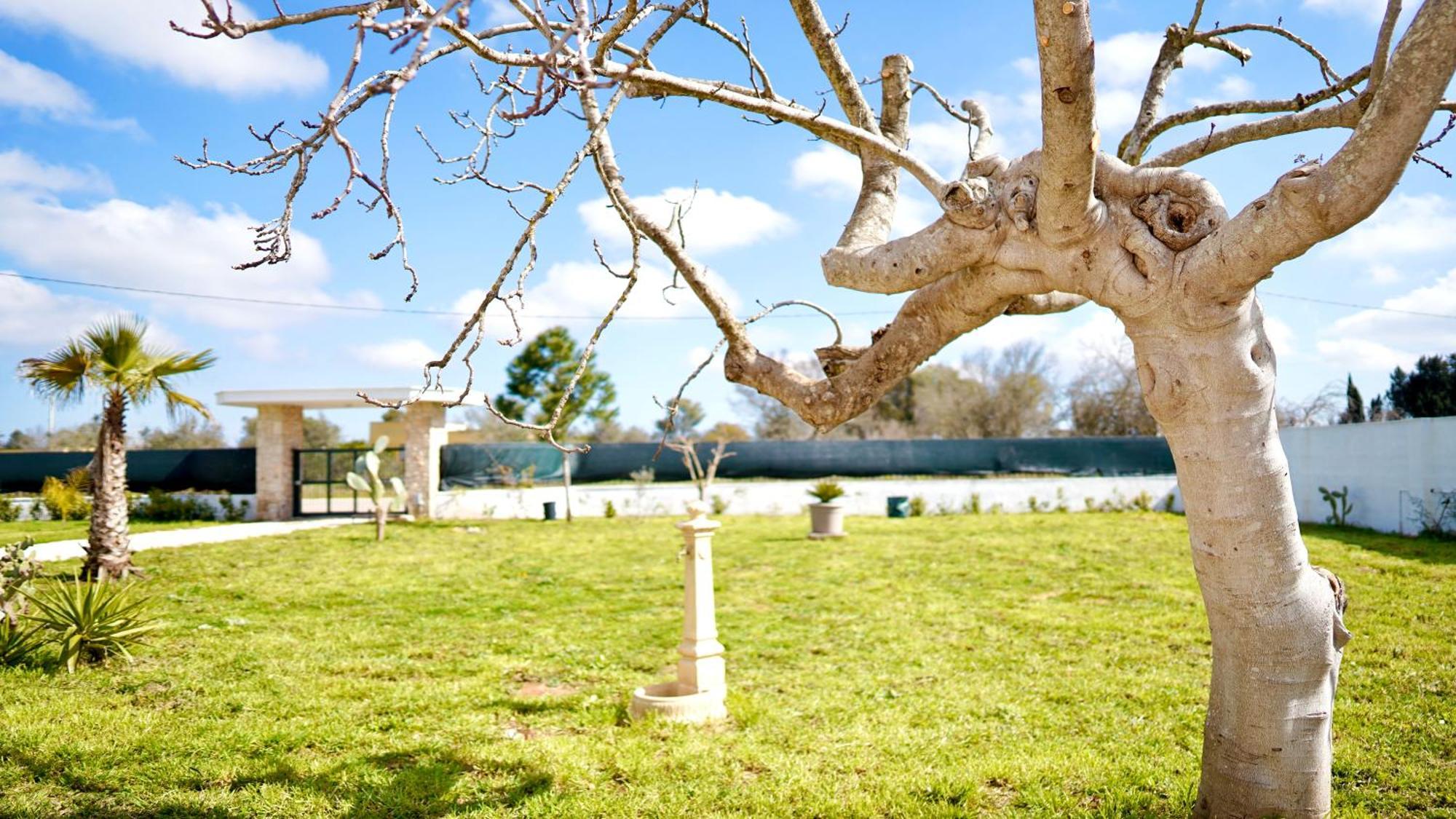 Villa Mia San Ligorio Экстерьер фото